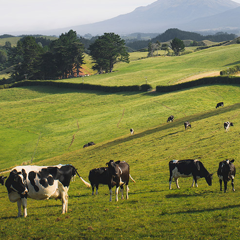 asiagame(中国区)官方网站