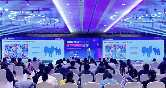 asiagame(中国区)官方网站